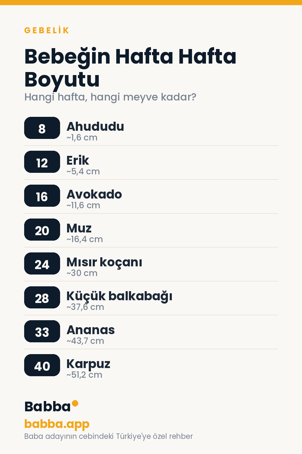 Bebeğin hafta hafta boyutu: 8. hafta ahududu, 12 erik, 16 avokado, 20 muz, 24 mısır koçanı, 28 küçük balkabağı, 33 ananas, 40 karpuz